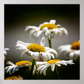 Wilted Poster (Voorkant)