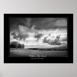Wiltshire Sky Lambs, Fine Art gallery-stijl Poster