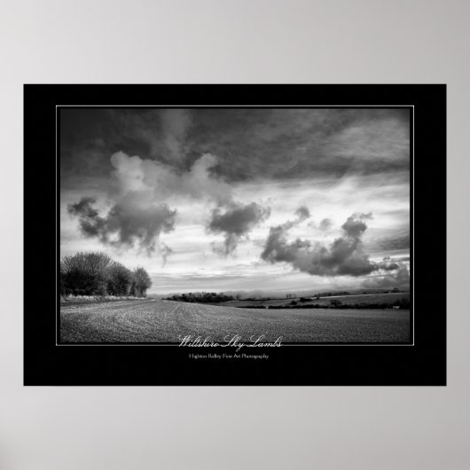 Wiltshire Sky Lambs, Fine Art gallery-stijl Poster (Voorkant)