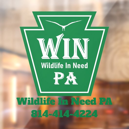 WIN Logo Window Cling Raamsticker (Vel 2)