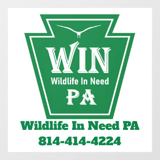 WIN Logo Window Cling-White background Raamsticker