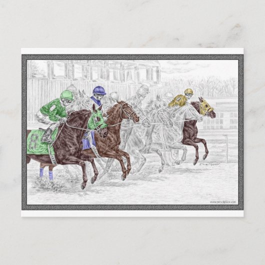 Win Place Show Race Horses Briefkaart (Voorkant)