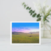 "Winchester Aeromotor Windmill" Briefkaart (Staand voorkant)