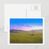 "Winchester Aeromotor Windmill" Briefkaart (Voorkant / Achterkant)