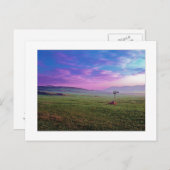 " Winchester Windmolen " Briefkaart (Voorkant / Achterkant)