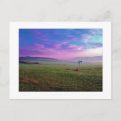 " Winchester Windmolen " Briefkaart (Voorkant)