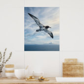 Wind Albatros Eindeloze Oceaan Poster (Keuken)