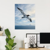 Wind Albatros Eindeloze Oceaan Poster (Thuiskantoor)