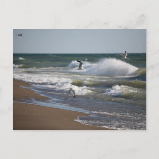 Wind Briefkaart (Voorkant)