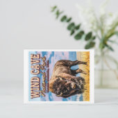 WIND CAVE NATIONAL PARK - SOUTH DAKOTA USA BRIEFKAART (Staand voorkant)