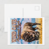WIND CAVE NATIONAL PARK - SOUTH DAKOTA USA BRIEFKAART (Voorkant / Achterkant)