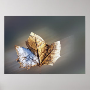 wind en sneeuw poster