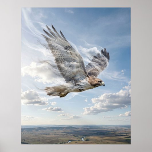 Wind Hawk Open Horizon Poster (Voorkant)