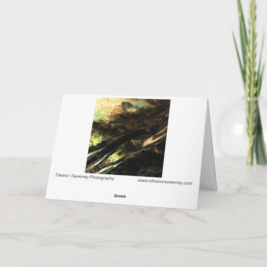 "Wind in de Gras" Digitaal transformeerde Meadow Kaart (Achterkant)