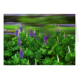 Wind in de Lupines