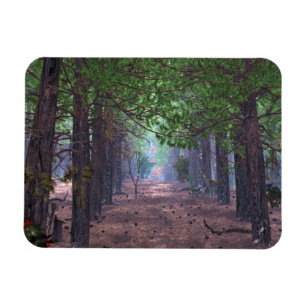 Wind in de Pijnbouw Flexible Magnet Magneet