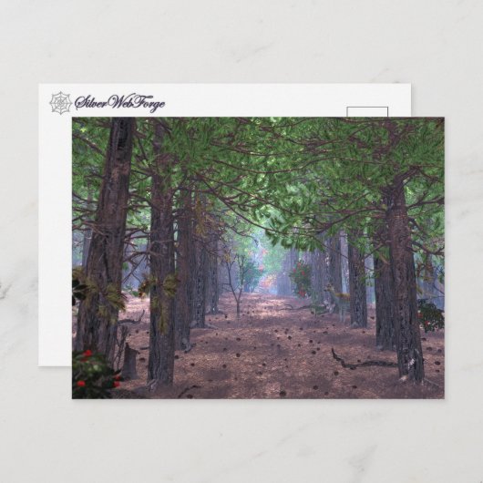 Wind in het Briefkaart van de pijnbomen (Voorkant / Achterkant)