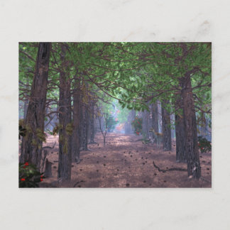 Wind in het Briefkaart van de pijnbomen