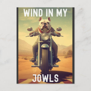 Wind in Mijn Jowls: Een Bulldog die op een motor r Briefkaart
