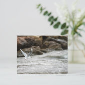 Wind Master Briefkaart (Staand voorkant)