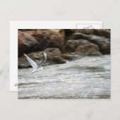 Wind Master Briefkaart (Voorkant / Achterkant)