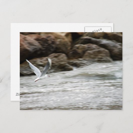 Wind Master Briefkaart (Voorkant / Achterkant)