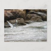 Wind Master Briefkaart (Voorkant)