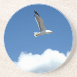 Wind Master Onderzetter