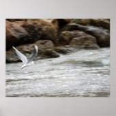 Wind Master Print (Voorkant)