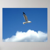 Wind Master Print (Voorkant)