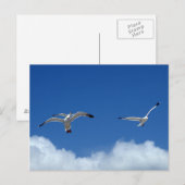 Wind Masters Briefkaart (Voorkant / Achterkant)