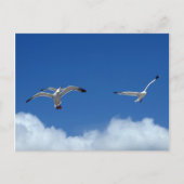 Wind Masters Briefkaart (Voorkant)