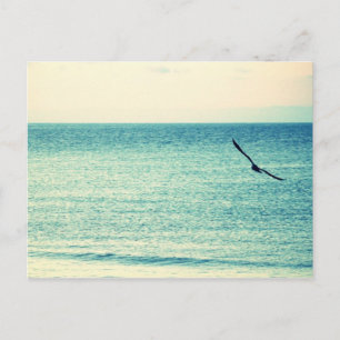 Wind Masters Briefkaart