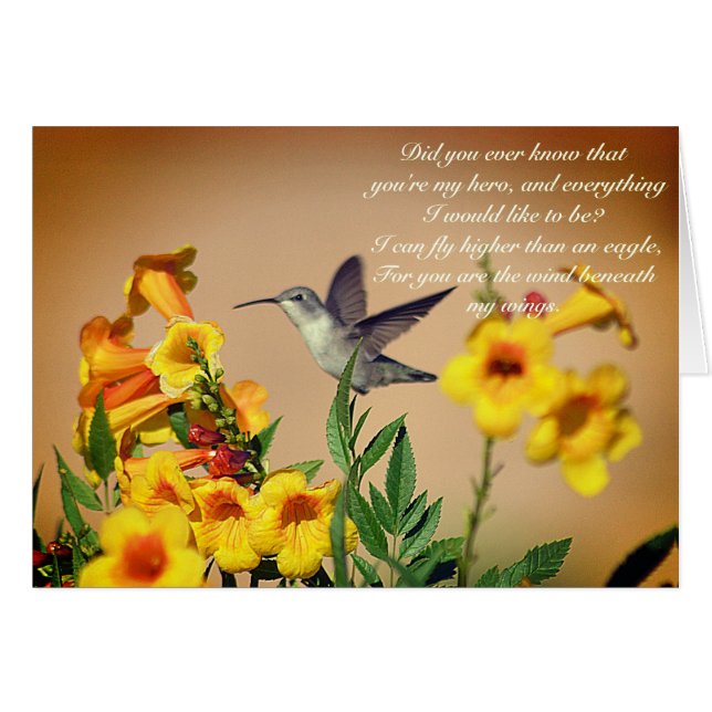 Wind onder mijn vleugels (Voorkant Horizontaal)