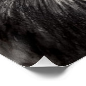 Wind onder mijn vleugels Lion Butterfly Wildlife A Perfect Poster (Hoek)