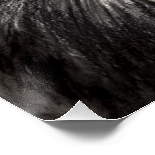 Wind onder mijn vleugels Lion Butterfly Wildlife A Perfect Poster (Hoek)