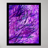 Wind Poster (Voorkant)