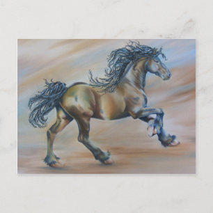 Wind Racer Briefkaart