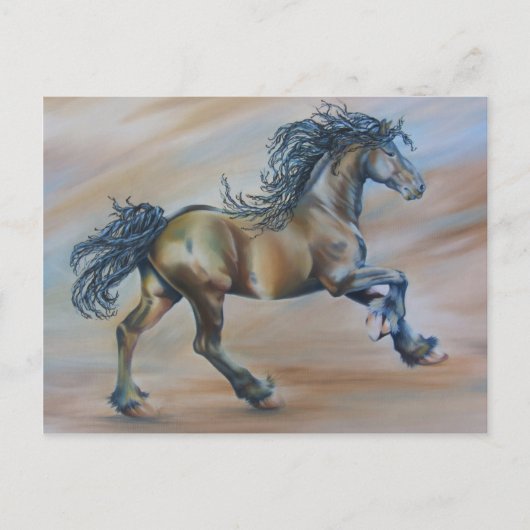 Wind Racer Briefkaart (Voorkant)