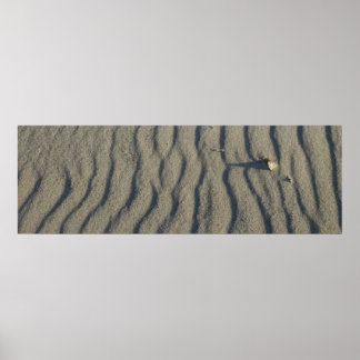 Wind Sculpted strand Sand and Stone, in de duinen. Poster
