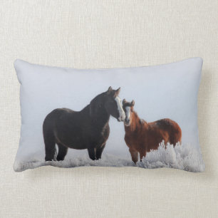Wind Walker/Sky Dancer Pillow Kussen