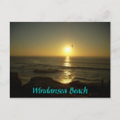 Windansea Beach Briefkaart (Voorkant)