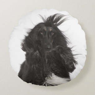 Windbloede Afghaanse hond Rond Kussen