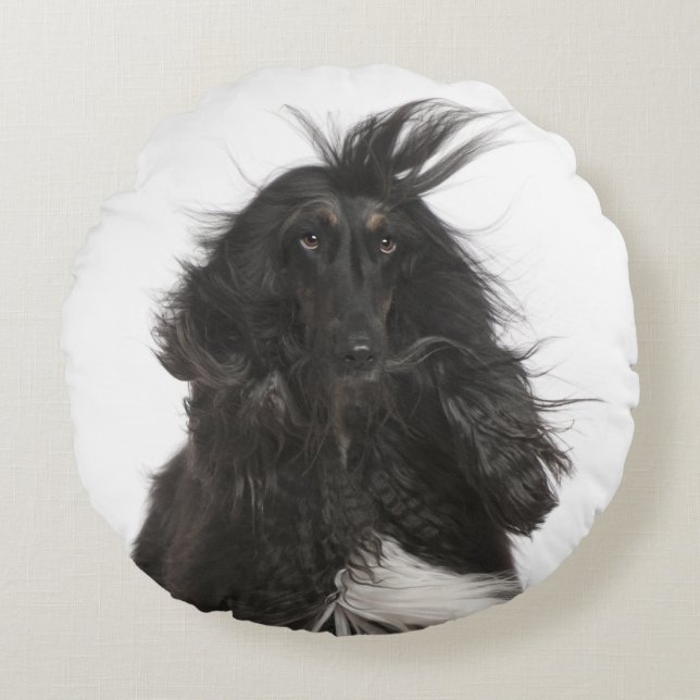 Windbloede Afghaanse hond Rond Kussen (Voorkant)