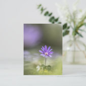 Windbloem Natuur Foto Briefkaart (Staand voorkant)