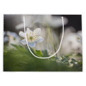 Windbloem Natuur Foto Groot Cadeauzakje (Voorkant)