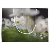 Windbloem Natuur Foto Groot Cadeauzakje (Achterkant)