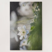 Windbloem Natuur Foto Legpuzzel (Verticaal)