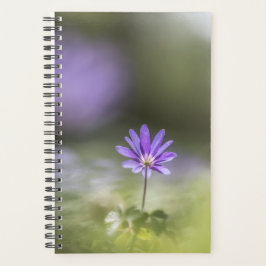 Windbloem Natuur Foto Planner