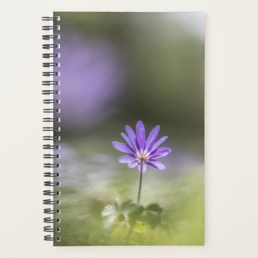 Windbloem Natuur Foto Planner (Voorkant)